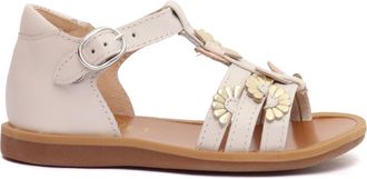 Pom dApi Papavero Multi Margherita