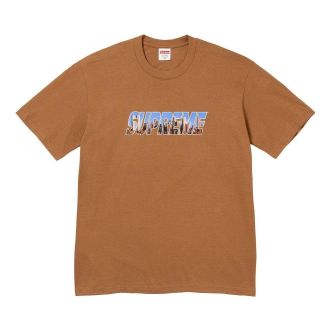 SUPREME Gotham T-Shirt Brown Teal SUP-FW23-005