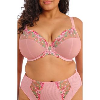Elomi Aerith Full Figure Underwire Plunge Bra in Rose at Nordstrom, Size 40Gg