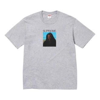 SUPREME FW26 Sith T-Shirt Heather Grey SUP-FW26-002-GRY