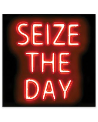 iCanvas Icanvas Neon Seize The Day Print On Acrylic Glass By Hailey Carr