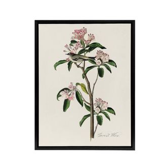 Artery8 Cuviers Kinglet Bird & Mountain Laurel Audubon Framed Canvas Art in White | Size: W24 x H32
