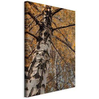 OEM Pintura - Colores De Oto&ntilde;o (1 Parte) Vertical