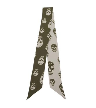 Alexander McQueen Multicolor Graphic Printed Scarf