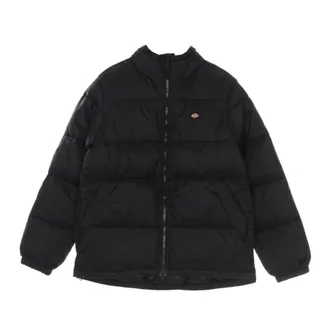 Dickies Down Jackets, male, Black, Size: XL Black Down Jacket Water-Repellent Style