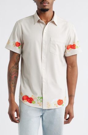MAVRANS Ciao Weekend Cucina Print Short Sleeve Performance Button-Up Shirt in White at Nordstrom, Size Xx-Large