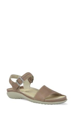 Naot Nagoya Sandal in Khaki Beige/Stone at Nordstrom, Size 11Us