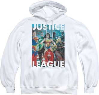 Gildan Justice League of America Hall Of Justice Adult Pull Over Hoodie / Hooded Sweatshirt