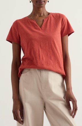 Seasalt Cornwall Kellow V-Neck Organic Cotton T-Shirt in Masala at Nordstrom, Size 14