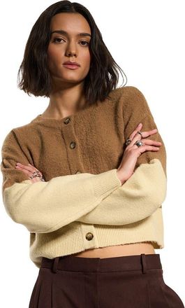 Callahan Fiona Cardigan - Womens in Raw Umber at Nordstrom, Size X-Large