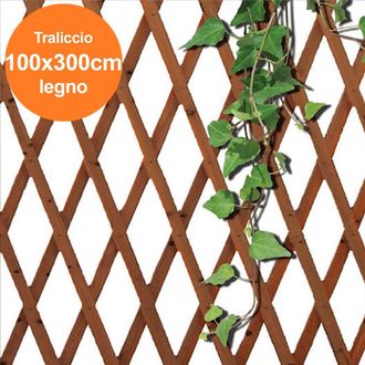Trade Shop Trade Shop - Malla Extensible De La Pared De Madera Oscura Para Paredes De Jard&iacute;n 100x300