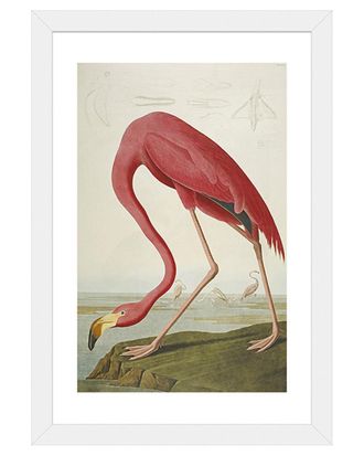 iCanvas Icanvas American Flamingo Art Print By John James Audubon