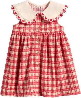 Next Kids Gingham Embroidered Dress in Pink at Nordstrom, Size 12-18M