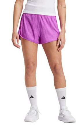 adidas Pacer Rib Shorts in Purple Burst at Nordstrom Rack, Size Medium