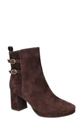 Bella Vita Orchard Moto Bootie in Brown Kidsuede Leather at Nordstrom Rack, Size 9.5