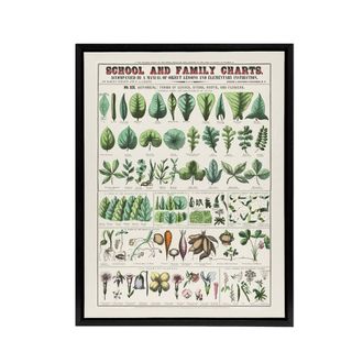Artery8 School & family chart No XIX Calkins Framed Canvas Wall Art Print in White | Size: W24 x H32