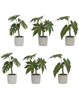 Melrose International Set Of 6 Assorted Foliage Plant In Grey Pot