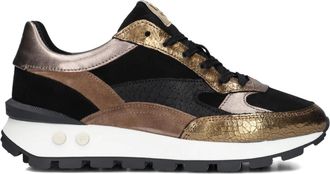 Floris Van Bommel Schoenen, Dames, Veelkleurig, 38 EU, Wol, Zwarte Chunky Sole Sneakers voor herfst/winter