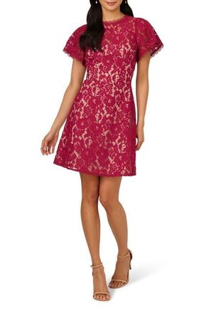 Adrianna Papell Flutter Sleeve Lace Dress in Light Wine at Nordstrom, Size 16