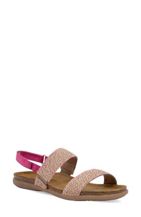 Naot Dylan Slingback Sandal in Pink Fuchsia/Pink at Nordstrom, Size 11Us