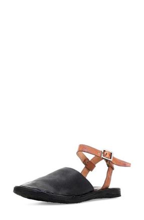 A.S.98 Rodrick Ankle Strap Flat in Black at Nordstrom, Size 10.5-11Us