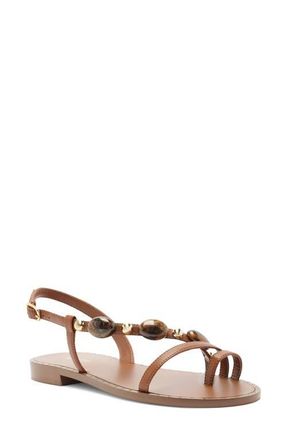Arezzo Diana Slingback Toe Loop Sandal in Soul Natural at Nordstrom, Size 5.5