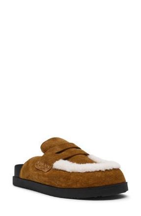 Steve Madden Tomlin Faux Fur Trim Mule in Chestnut Suede at Nordstrom Rack, Size 8