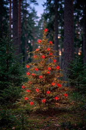 Terrain Stargazer Moravian Star String Lights, Red