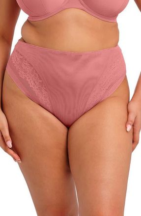 Elomi Nerina High Leg Briefs in Dusros at Nordstrom, Size Xx-Large