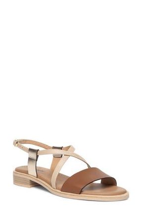 Nero Giardini Ankle Strap Sandal in Brown at Nordstrom Rack, Size 10Us / 40Eu