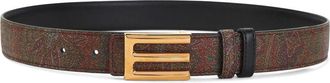Etro Cintura con fibbia - Marrone