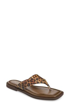 Rag & Bone Gracie Jelly Flip Flop in Tortoise at Nordstrom, Size 10.5Us