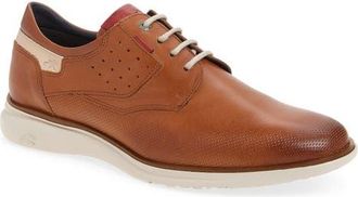 Fluchos Fenix Perforated Toe Derby in Brown at Nordstrom, Size 12-12.5Us