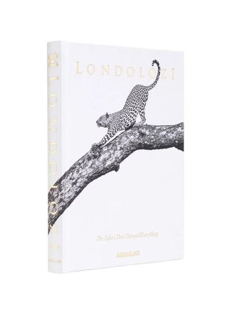 ASSOULINE Londolozi: The Safari That Changed Everything 9781649806000