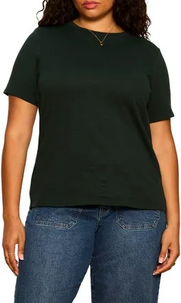 Sanctuary Icon Cotton T-Shirt in Forest Green at Nordstrom, Size 1X