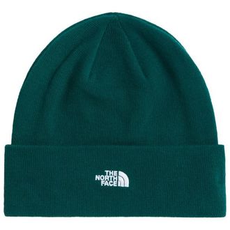 The North Face Norm Beanie M&uuml;tze f&uuml;r Herren | gr&uuml;n