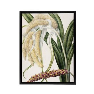 Artery8 New Zealand Perching Lily Flower Plant Featon Framed Canvas Wall Art in Beige | Size: W24 x H32