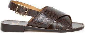 Bobbies Zita Flat Sandals in Cobra Brown at Nordstrom, Size 9.5