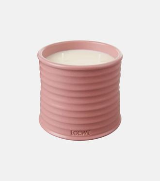 Loewe Ivy Medium candle