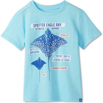 Hatley Kids Stingray Cotton Graphic T-Shirt in Gulf Stream at Nordstrom, Size 4T