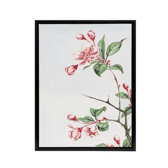 Artery8 Kaido Crabapple Flower Bloom Framed Canvas Wall Art Print Japanese in Pink | Size: W24 x H32