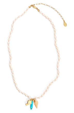 Clare Vivier Freshwater Pearl Charm Necklace in Multi at Nordstrom