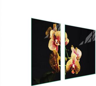 OEM Placa Protectora De Vidrio Para Estufa 90x52 Orqu&iacute;dea