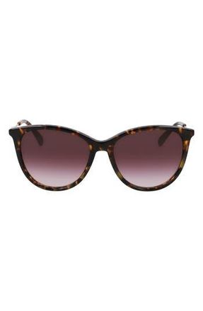 Longchamp 55mm Gradient Tea Cup Sunglasses in Dark Havana at Nordstrom Rack