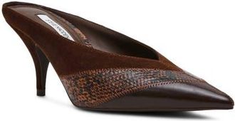Steve Madden Fonza Mule in Brown Multi at Nordstrom, Size 9.5