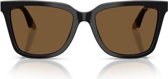 Emporio Armani 55mm Irregular Sunglasses in Shiny Black/Beige /Brown at Nordstrom