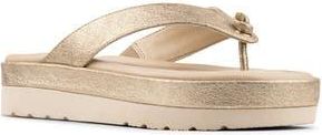 Donald J Pliner Thong Sandal in Platino at Nordstrom Rack, Size 7.5