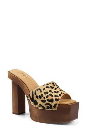 Zigi Soho Cassidey Leather Platform Slide Sandal in Leopard Leather at Nordstrom, Size 11