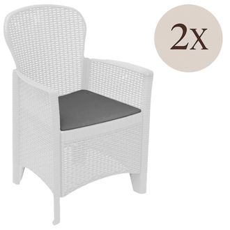 Dmora Dmora - Conjunto De 2 Sillas De Exterior Amilton, Asiento De Jard&iacute;n, Para Interior O Exterior, Con Reposabrazos, Fabricado En Italia, 59x57 H86 Cm, Bl