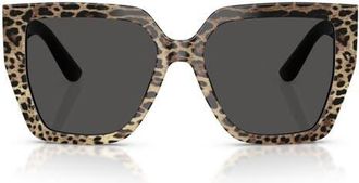 Dolce & Gabbana 55mm Square Sunglasses in Leo Brown On Black /Dark Grey at Nordstrom